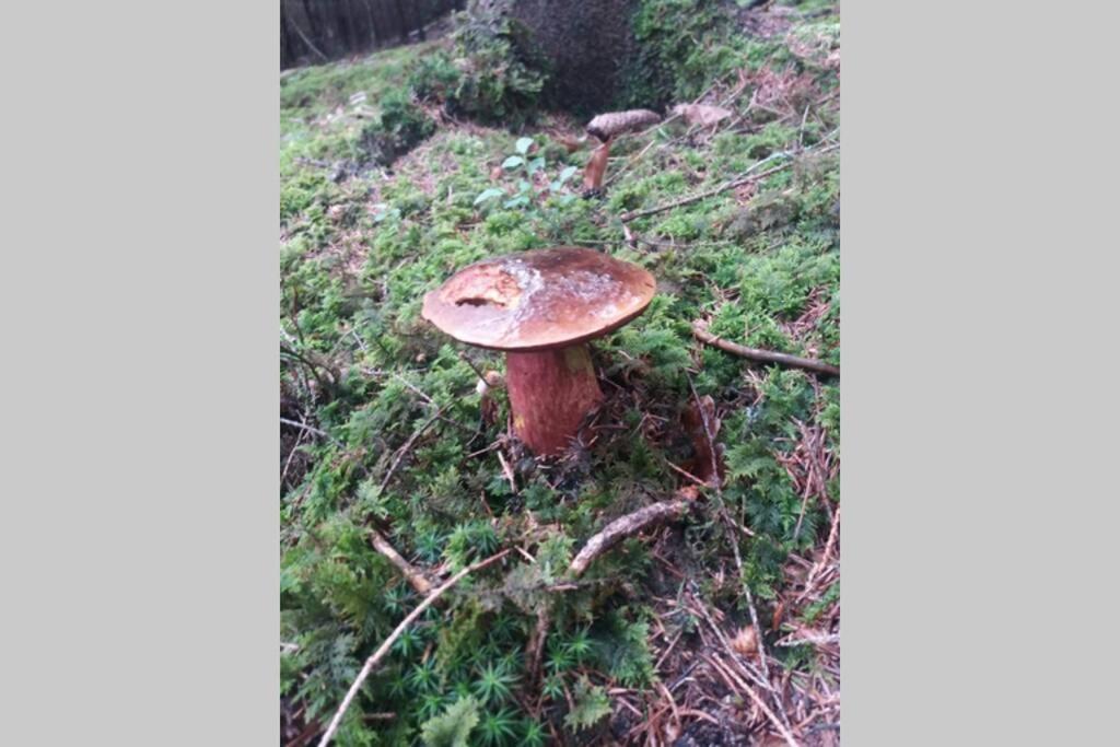 Chalupa U Kolcavy Volenice  Bagian luar foto